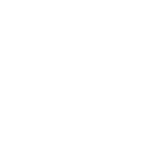 TheLion.AI Logo