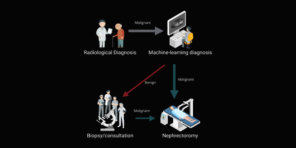ColorNephroNet: Kidney Tumour Malignancy Prediction Using Medical Image Colourisation